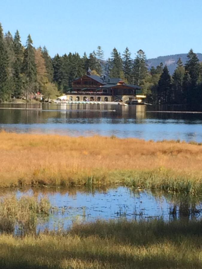 Gaestehaus Biggi Bodenmais Eksteriør billede